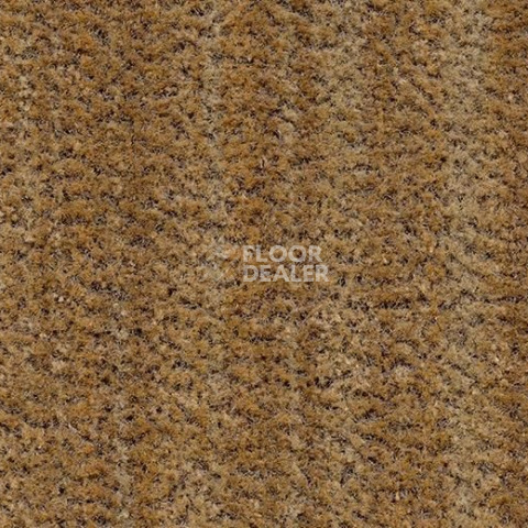 Грязезащитные покрытия Forbo Coral Brush 5754 straw brown фото 1 | FLOORDEALER